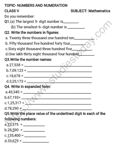 Noun Number Worksheet For Class 5 With Answers